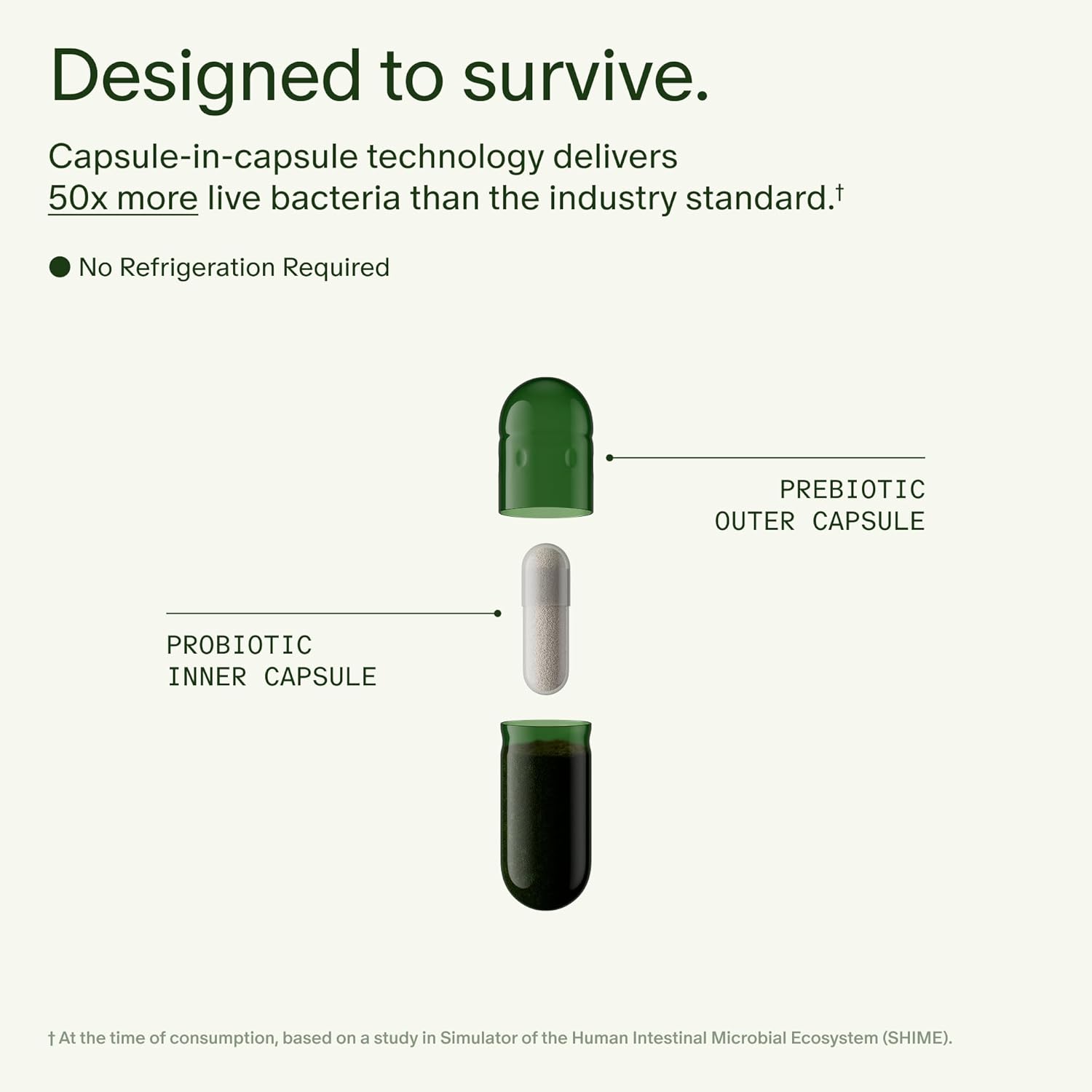 Seed DS-01 Daily Synbiotic – Probiotic + Prebiotic Supplement