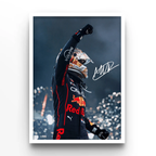 Max Verstappen F1 Portrait