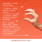 Bear Balanced Creatine Gummies-N101 Nutrition